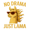 No Drama Just Llama