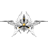 Pilot