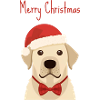 Golden Retriever Merry Christmas Design