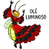 Flamenco Firefly Dance Costume