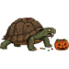 Haunted Turtle Halloween Candy
