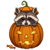 Raccoon Peeking from a Jack-o'-Lantern