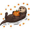 Playful Otter with Pumpkin
