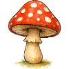 Red Mushroom Illustration