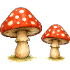 Red Toadstool Duo