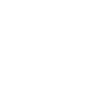 No plan Full action