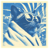 Cool Retro Cat Design