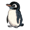 Pinguin