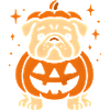 Jack-o-Lantern Pumpkin Dog