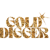 Gold Digger Glitzer Text
