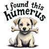 I found this humerus