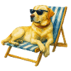 Labrador Hund Sommer Chill Geschenkidee