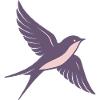 Colibri violet pastel ailes élancées