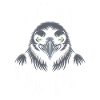 Crow Mask Mind Game Motif