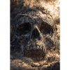 Skull in Storm Clouds