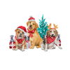 Dog Christmas