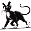 Devon Rex Design – Charming and unique