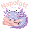 Napolotl Sleeping Axolotl Kawaii