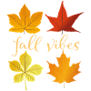 Fall Vibes