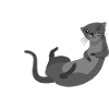 Sea Otter Cartoon American