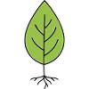 Minimalist leaf motif green