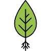 Green leaf line logo
