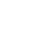 Polynesian skull (white)