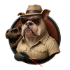 Bouledogue d’aventure en tenue safari