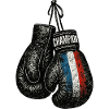 France Patriote - Boxing Gloves