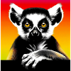 Lemur