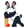 Panda Cricket Cricket Bats