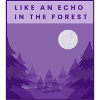 Wie ein Echo im Wald