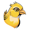 Yellow Bird Head Cartoon Illustration