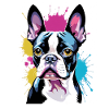 Bunter Boston Terrier Kunstporträt