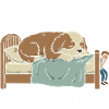 Hund als Bettmitbewohner