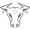 Stier_002a