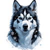 Winter Husky Portrait Art
