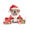 Chien Noël