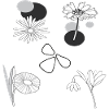 Fleurs noires et blanches