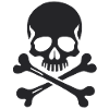 Classic Jolly Roger Skull