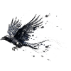 Crow Raven Paint Splash - Aquarelle moderne