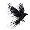 Crow Raven Paint Splash - Aquarelle moderne
