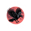 Raven Moonlit Night Monday