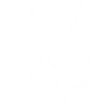Portrait du lynx blanc