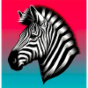 zèbre