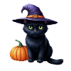 Witch cat with pumpkin
