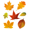 Herbstlaub
