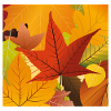 Herbstlaub