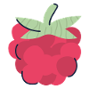 Raspberry Pop Art Berry