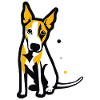 Hund StreetArt 
